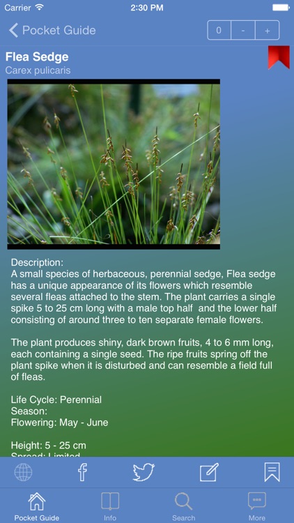 Pocket Guide UK Grasses screenshot-3