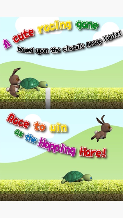 the Tortoise and the Hare Race