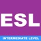 ESL Intermediate Grammar Quiz