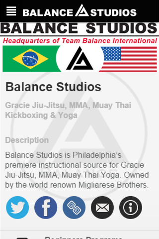 Balance MMA screenshot 2