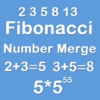 Number Merge Fibonacci 5X5 - Sliding Number Block