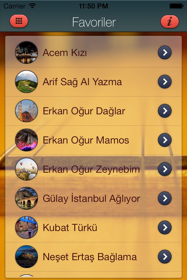 Türkü Sepeti Zil Sesleri screenshot 4