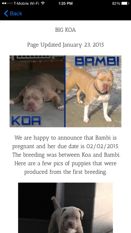 Blue Fawn Kennels