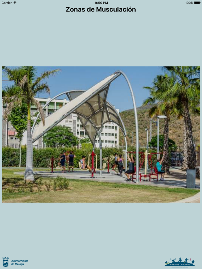 Zonas de Musculación