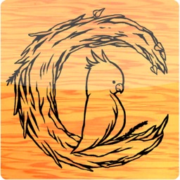 Nitechbb 学生掲示板アプリ By Nagoya Institute Of Technology