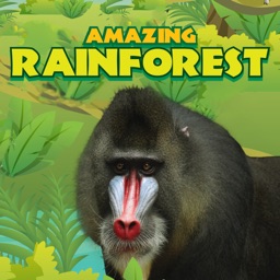 Amazing Rainforest Apple Watch App