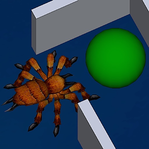 Spider Ball Chase Icon