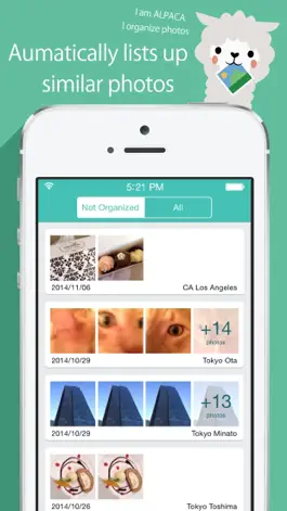 Game screenshot ALPACA - delete photos efficiently, organize camera roll and save memory mod apk