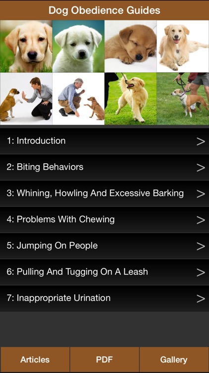 Dog Obedience Guides - Train Your Dog Effectively, Dog Training Tips, Dog Gallery