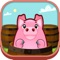 The pig has entered into the barrel and the barrels are randomly muted