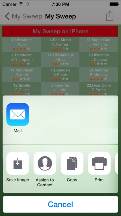 Melbourne Cup Sweep screenshot-4