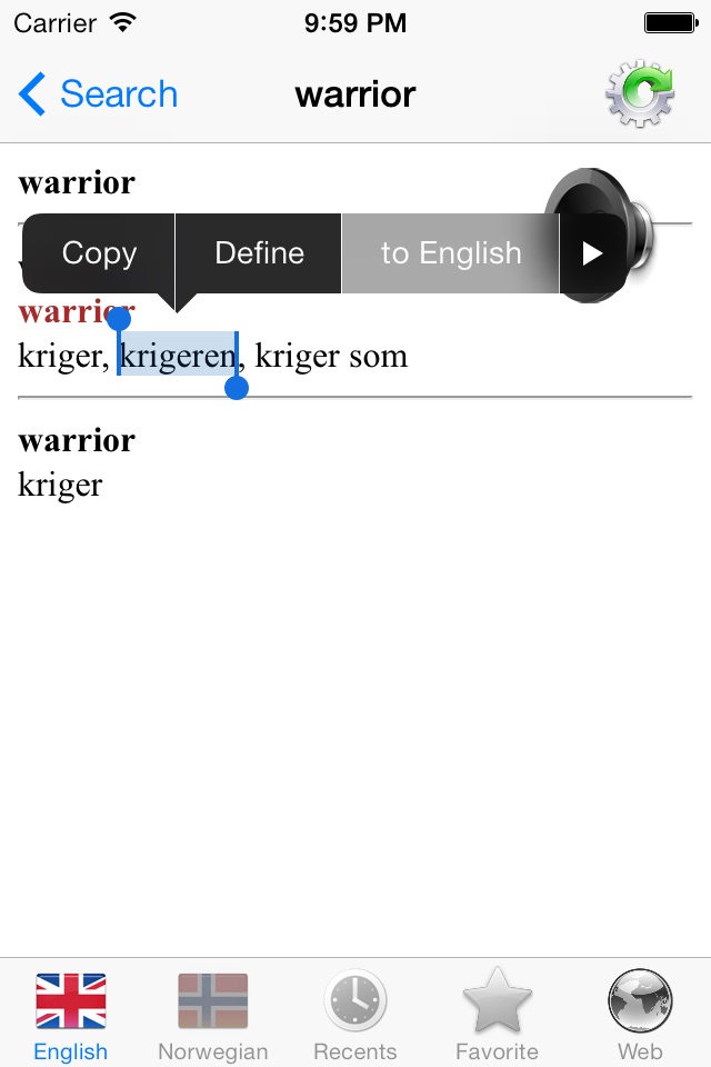 Norwegian English dictionary - Norsk Engelsk ordbok, Best translate tool for translator - beste sette verktøy til oversetter screenshot 3