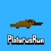 Platypus Run
