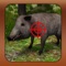 Boar Hunter 2015: Wild Pig Hunt