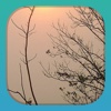 RelaxBook Yoga - Sleep sounds for you to relax with melodies, incan pipes, dolphins and more