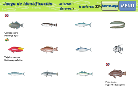 Marine Fishes - Identification Guide screenshot 3