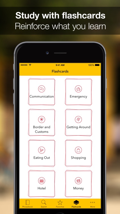 SpeakEasy Spanish ~ Offline Phrasebook and Flashcards with Native Speaker Voice and Phonetics screenshot-4