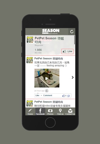 PetPet Season 得寵時尚 screenshot 3