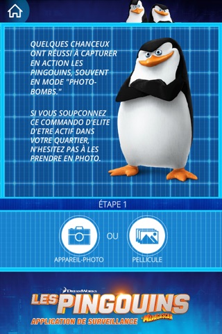 Penguins Surveillance App screenshot 2
