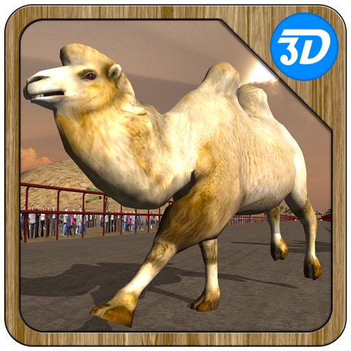 Camel Racing Simulator 3D - Real derby sport simulation game Icon