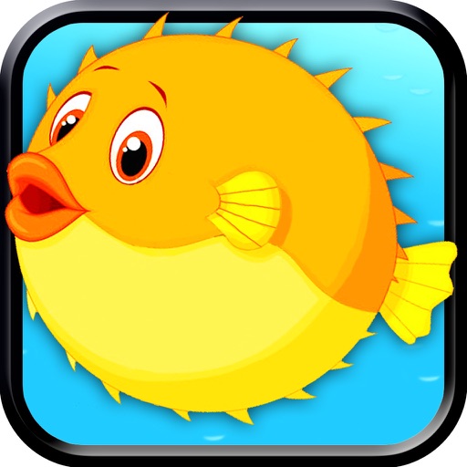 Fish Bounce For Kids & Adult Icon