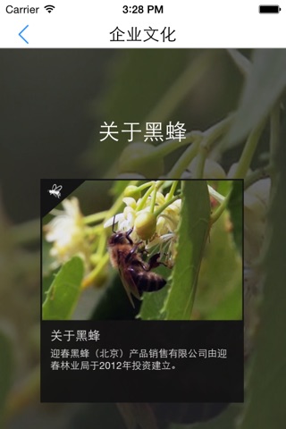 迎春黑蜂 screenshot 3