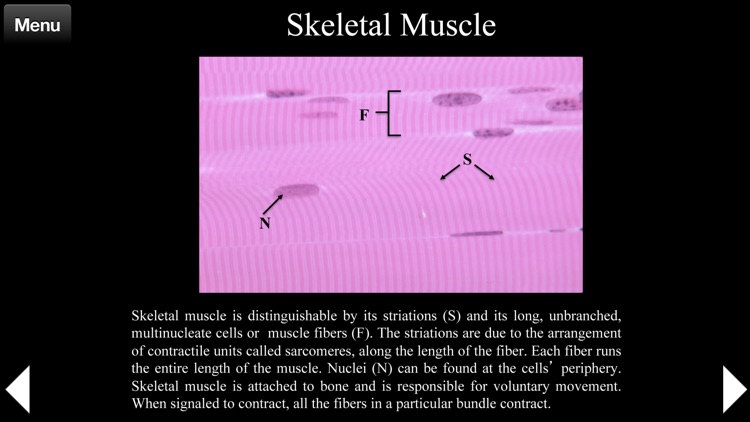 Animal Histology screenshot-4