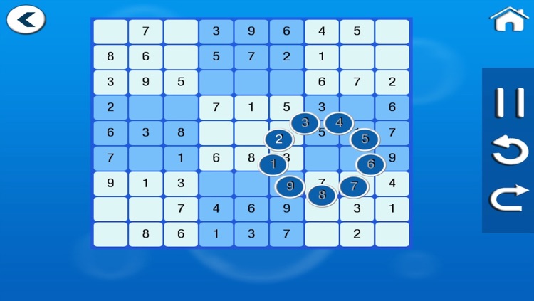 1000 Sudoku Pro screenshot-3