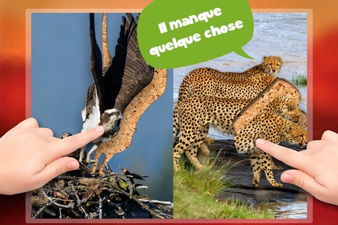 Play with Wildlife Safari Animals Jigsaw Game photo for toddlers and preschoolers screenshot 4