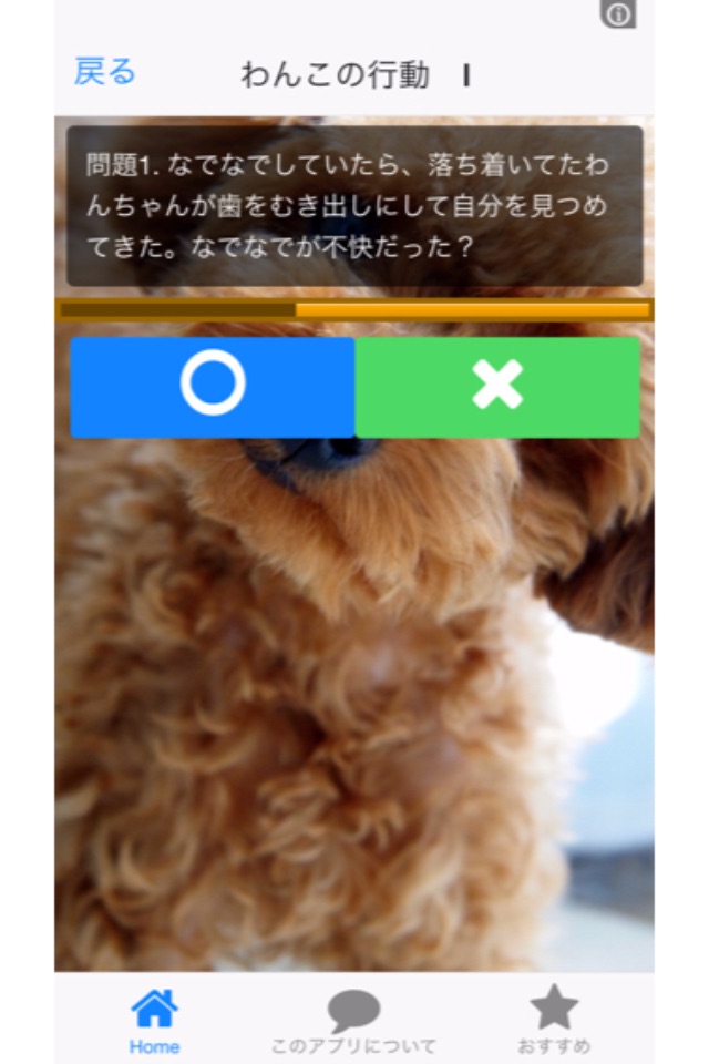 無料 いぬのきもちわかるかな？犬好きの為のアプリ screenshot 3