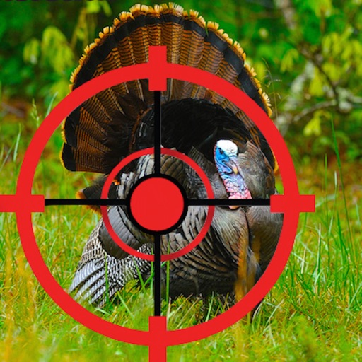 Turkey Hunting Combat icon