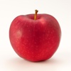 我爱小苹果--史上最萌的吃苹果单机游戏