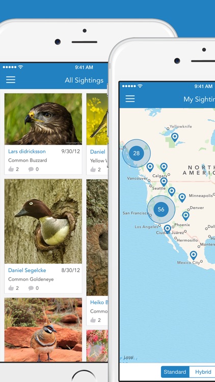 iKnow Birds 2 PRO - The Field Guide to the Birds of Europe screenshot-4