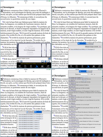 Sainte Bible(4 versions French bible)HD screenshot 3