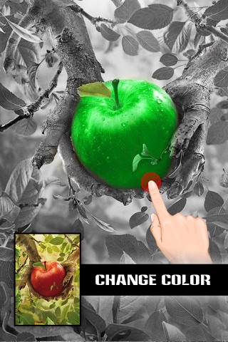 Photo Color Picker Pro - Black & White, Selective Grayscale plus Recolor Effects Modifier screenshot 2