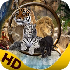 Activities of Hidden Objects:Guess the animal