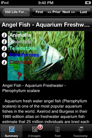Fishes & Sharks of the World - A Fishes App screenshot 3
