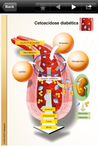 Atlas Diabetes screenshot 3