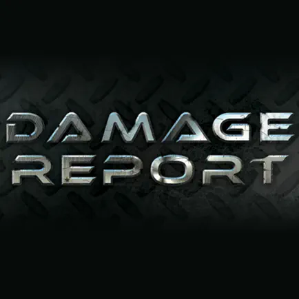 Damage Report Timer Читы