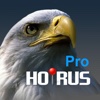 HORUS Pro