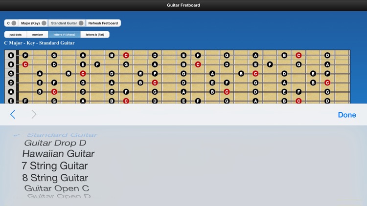 Guitar Chords n Scales screenshot-4