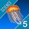 - Collect 10 amazing interactive marine creatures and improve your Science