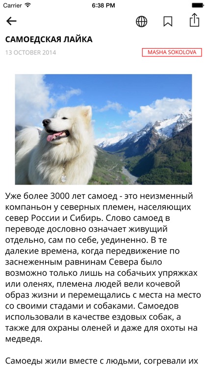 HuskyFace - Для владельцев северных ездовых собак screenshot-3