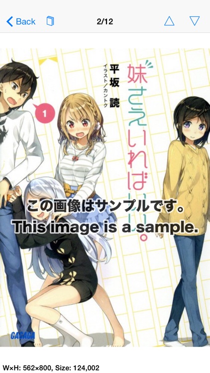 TSRBooksLE - Japanese Book Surfing Ranobe Lite Edition screenshot-4