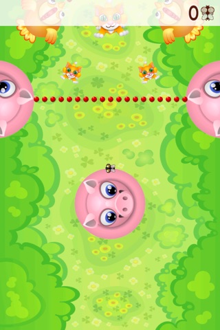 Slingshot Between Piggies screenshot 3