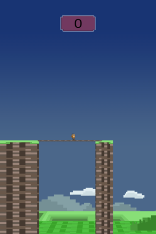Block Man Hero: Super Tight-Wire Bridge Crossing screenshot 4