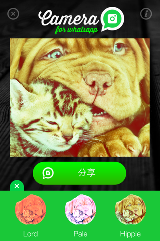 Camera for WhatsApp - Share amazing photos with your friends screenshot 3
