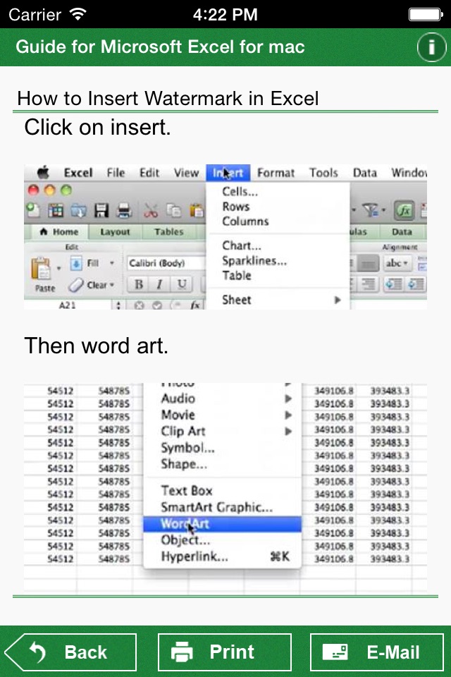 Guide for Microsoft Excel for Mac screenshot 4