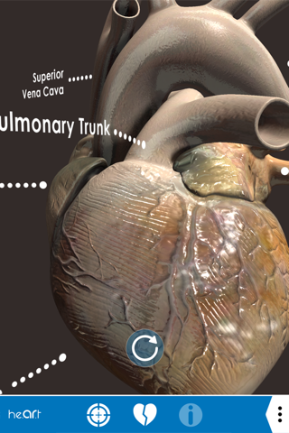 Heart AR screenshot 4