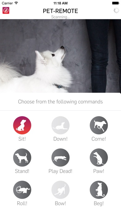 Screenshot #3 pour Pet-Remote - Control your dog or pet